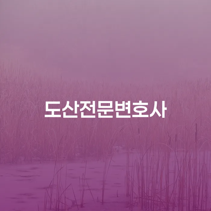 개인회생자 빚 합법적인 빠른방법 알아보는 꿀 팁!