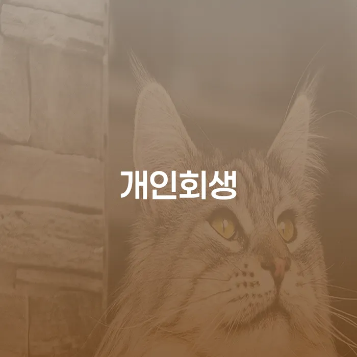 성동구 장기연체 개인회생으로 방법 주목받는